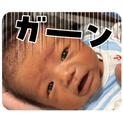 kotonen_20260324164141