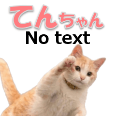 Our cat Ten-chan Sticker without text