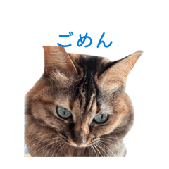 tsumu_20260324200743