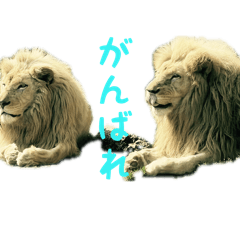 shusuke_20260324203824