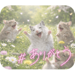 deguko_20260324200906