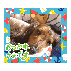 hinapu_20260324235756