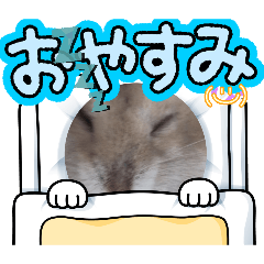 koronn_20260324204405