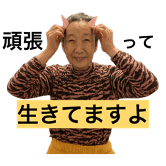 satomi_20260324202038