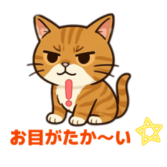 F eri ri_20260322105808