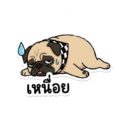 pearwasukanya_20260324133424