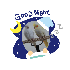 cupcake_20260324134543