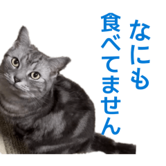 saritirusann_20260324204733