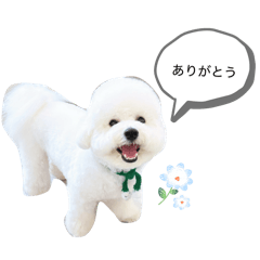 fksmerrn_20260324204828