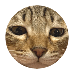 bakutani_20260324190620