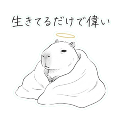 WAEWAE213_20260324190958