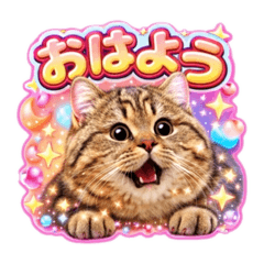 JAM one_20260324205206