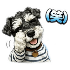 sa-ko_20260324212123