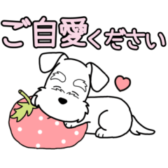 やさしいシュナウザー『春スタンプ』4