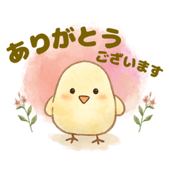 Polite Chick Stickers for Daily Use