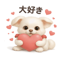 吉娃娃和馬爾濟斯犬