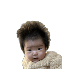 k_20260324220043