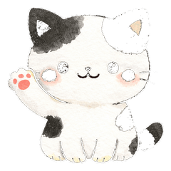 JP & Thai Calico Cat