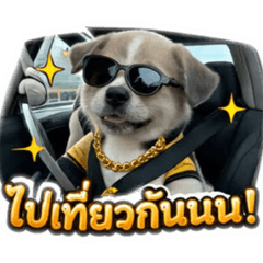 Kanokwan Phumiphak_20260324145916