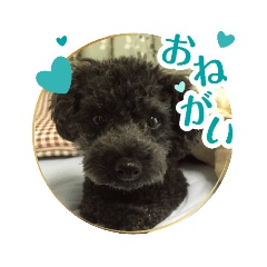 kuuchan_20260324175320