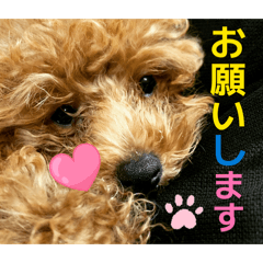 aiaia.i_20260324180050