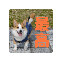 toshiuji_20260324220429