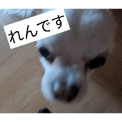 mahro_20260324221437