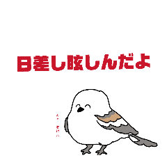 KUJIKICHI_20260324221919