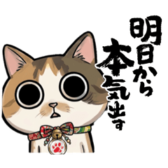 kagikagi_20260324221427