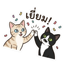 TONY08_20260324162902