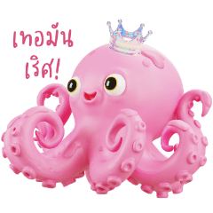 Funny Zoo Daily Life