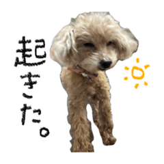 kuuuuu_20260325001136