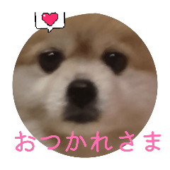 kurara_20260324180657