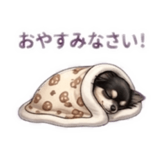 atsushi_20260324191650