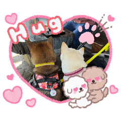 COMCOM_20260324191609