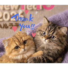 yumico_20260324205642