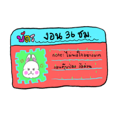 rabbtlebit_20260324190818