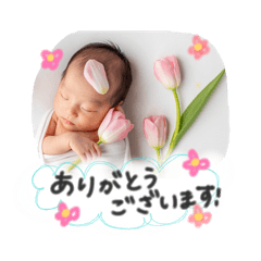 katie_20260324233621