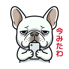 Daily Lazy French Bulldog :Late Replies