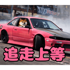 naoki_20260324233841