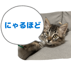 Chuugakusei_20260324214627