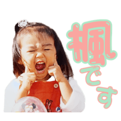 Stickers for MAPLE TREE