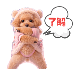 chi.louis.migi_20260325011526