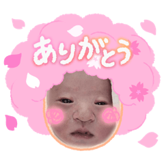 cherry blossoms_20260325010723