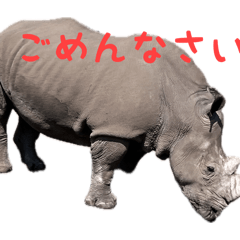 shusuke_20260324202935