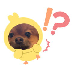 popomama_20260324230853