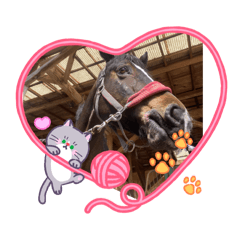 My lovely cute horse