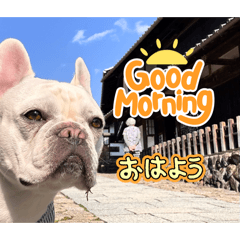 Shotaro55_20260325004526