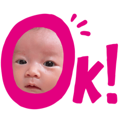 koara_20260325085941