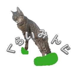 nanaironosora_20260325090044